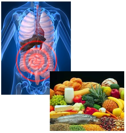 stomachache food
