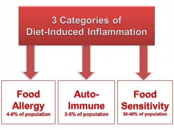 Understanding Diet-Induced Inflammation